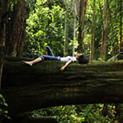 Progressive Muscle Relaxation